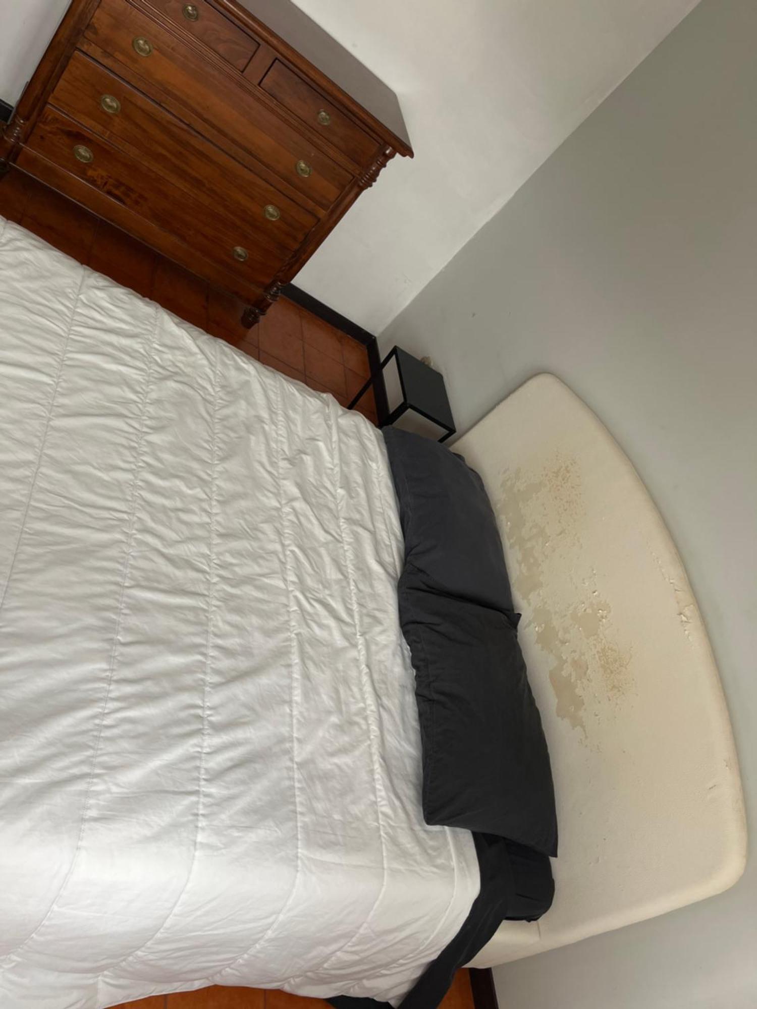 רומא Ciamarra Rooms מראה חיצוני תמונה